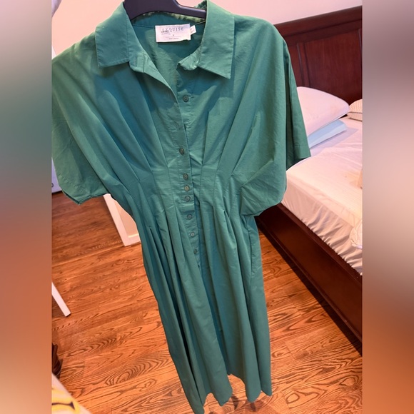 Tobie Midi Button-Front Pleated Midi Dress - Picture 3 of 5